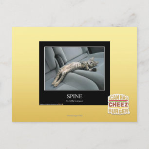 Wirbelsäule Postkarte