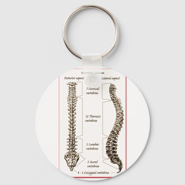 Wirbelsäule Sepia2 Schlüsselanhänger (Vorderseite)