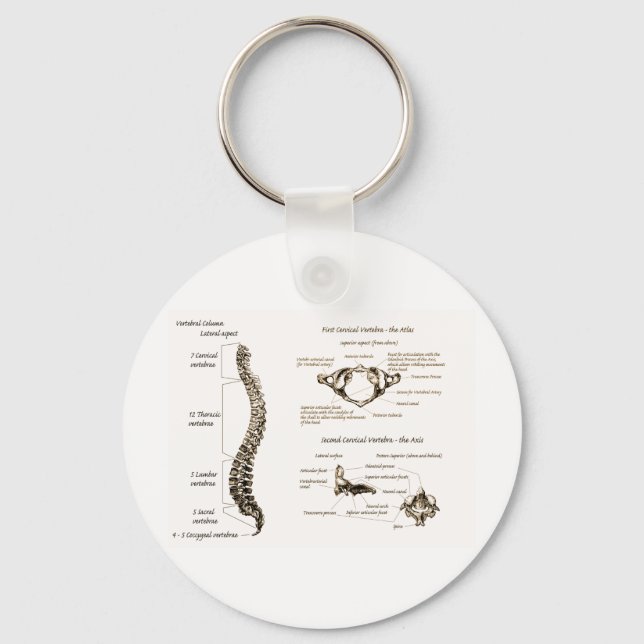Wirbelsäule Sepia Schlüsselanhänger (Vorderseite)