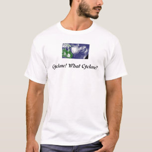 Wirbelsturm! Welcher Wirbelsturm? T-Shirt