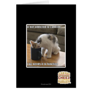 Wird nicht zum Koffein gewöhnt