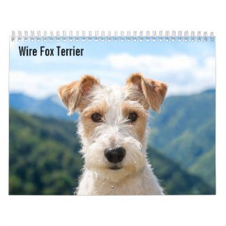 Wire Fox Terrier 2027 Kalender