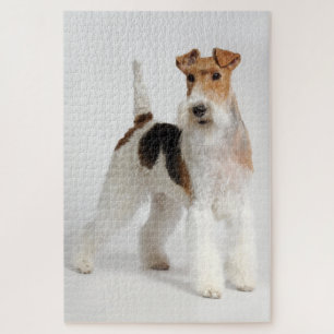 Wire Fox Terrier Dog Foto Puzzle