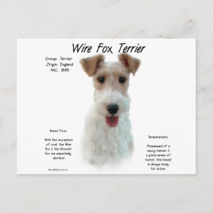 Wire Fox Terrier Geschichte; über Draht-Fuchs-Terr Postkarte
