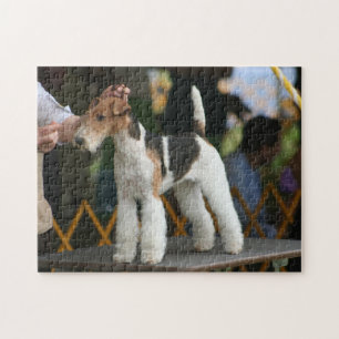 Wire Fox Terrier Hundeschau Puzzle