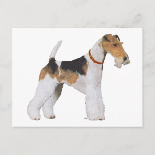 Wire Fox Terrier Postkarte