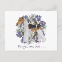Wire Fox Terrier Vergiss-Me-not