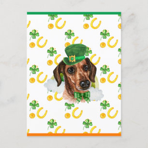 Wire Hair Dackel Kleeblatt St. Patricks Day Feiertagspostkarte