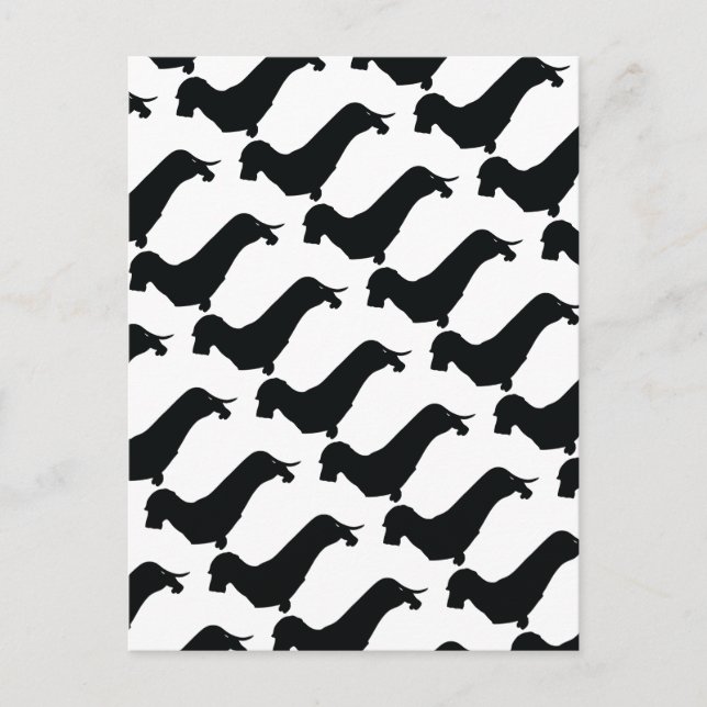 Wire Hair Dackel Postkarte (Vorderseite)