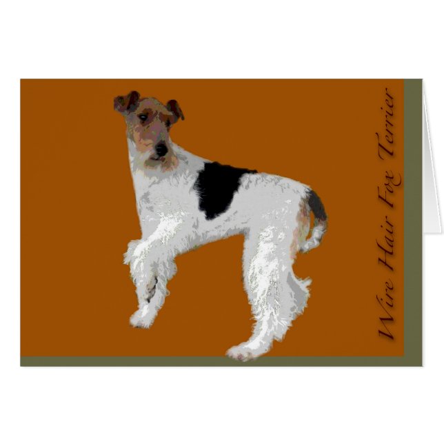 Wire Hair Fox Terrier (Vorderseite (Horizontal))