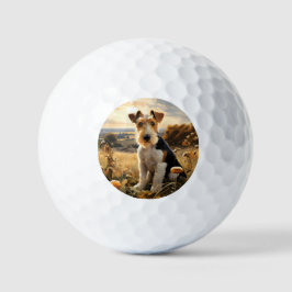 Wire Hair Fox Terrier im Herbst Landschaft Golfball