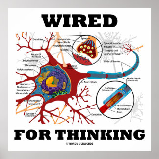 Wired For Thinking Poster