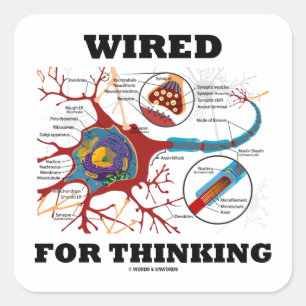 Wired For Thinking Quadratischer Aufkleber