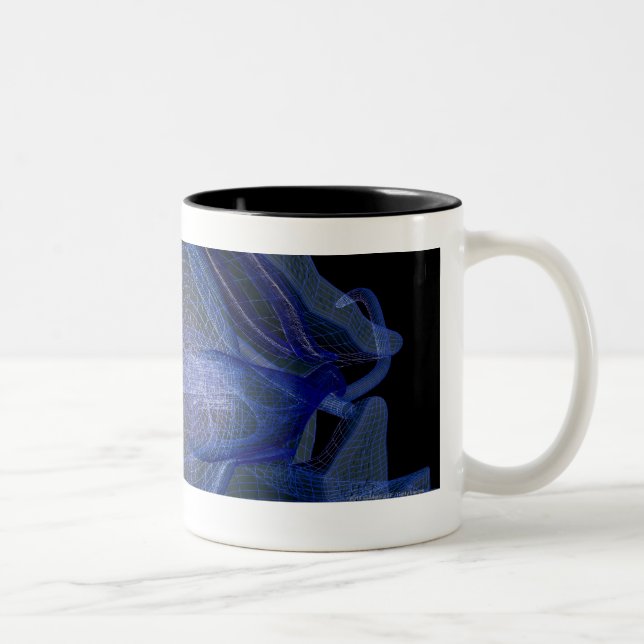 wireframe 3d der Augenmuskeln in einem Sockel Zweifarbige Tasse (Rechts)