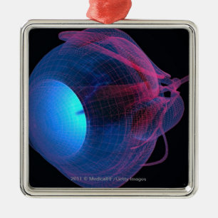 Wireframe der Muskeln des Auges Silbernes Ornament