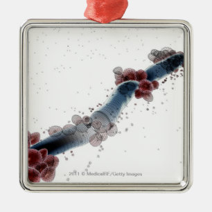 Wireframe mikroskopische Ansicht von Candida Ornament Aus Metall