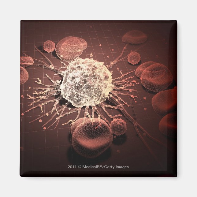 Wireframe von Krebszellen Magnet (Vorne)