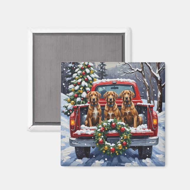 Wirehaired Pointing Griffon Christmas Red Truck Magnet (Vorderseite/Rückseite)