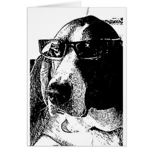 Wirklich cooler Dachshundjagdhund