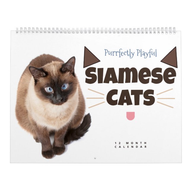 Wirklich gut gespielt: Siamkatzen Kalender (Titelbild)