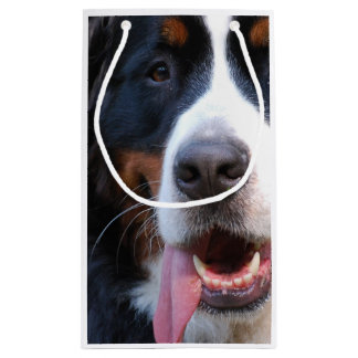 Wirklich niedlicher Bernese Gebirgshund Kleine Geschenktüte
