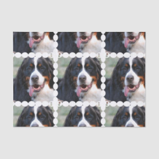 Wirklich niedlicher Bernese Gebirgshund Seidenpapier