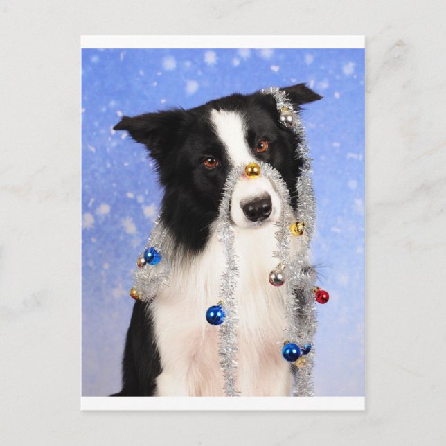 Wirklich? Postkarte (Vorderseite)