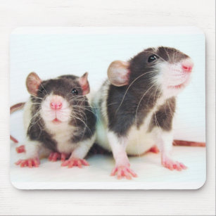 Wirkliche Frauen besitzen Ratten! Mousepad