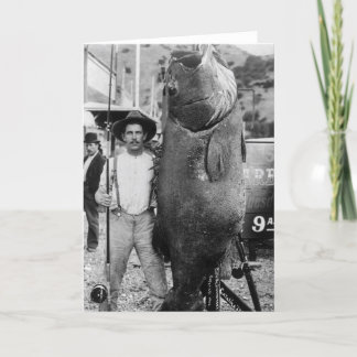 Wirkliche große Fische, frühe 1900s Karte
