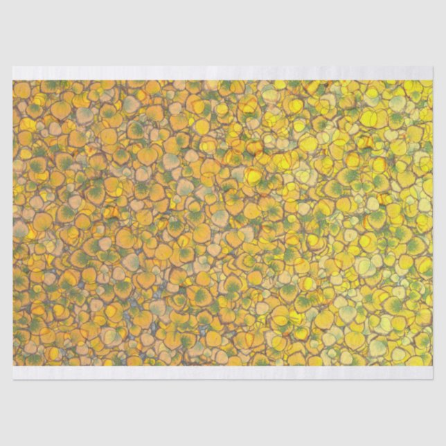Wirklicher Aspen verlässt Seidenpapier (Vorderseite)