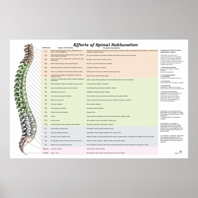 Wirkungen des Spinal Subluxation Poster Chiroprakt (Vorne)