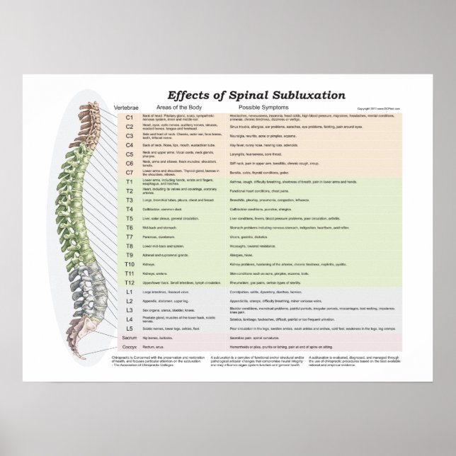 Wirkungen des Spinal Subluxation Poster Chiroprakt (Vorne)