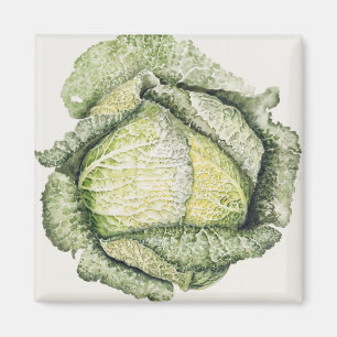 Wirsingkohl Magnet