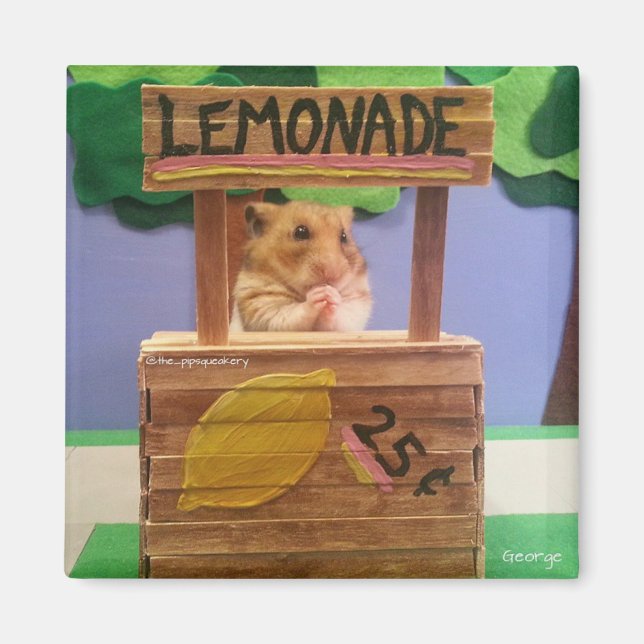 Wirst du Lemonade kaufen? Hübsch bitte? Magnet (Vorne)