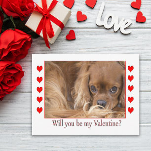 Wirst du mein Valentinstag-Spaniele-Postkarte sein Feiertagspostkarte