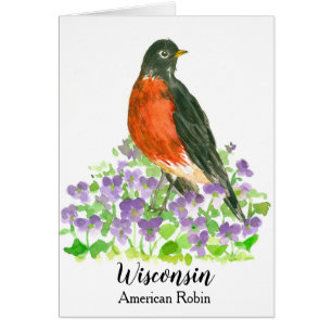 Wisconsin American Robin Staat Bird