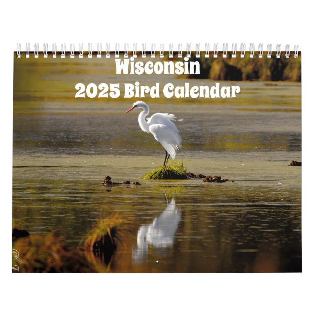 Wisconsin Birds Calendar 2025 Kalender (Titelbild)