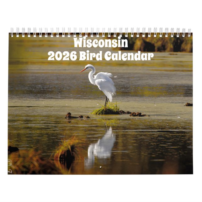 Wisconsin Birds Calendar 2026 Kalender (Titelbild)