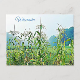 Wisconsin Corn Stalks Mittelwestliches Foto Postka Postkarte