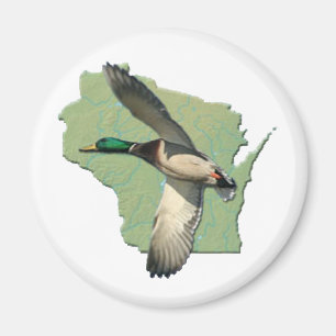 Wisconsin-Ente Magnet
