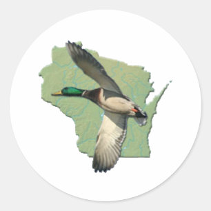 Wisconsin-Ente Runder Aufkleber