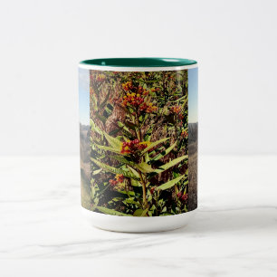 Wisconsin Fall Wildblume und Field Coffee Tasse
