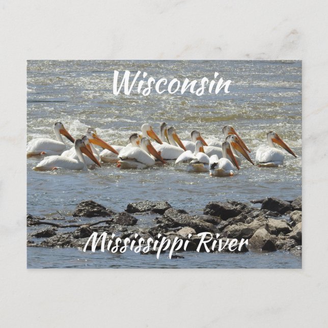 Wisconsin, Mississippi River Memorabilia Postkarte (Vorderseite)