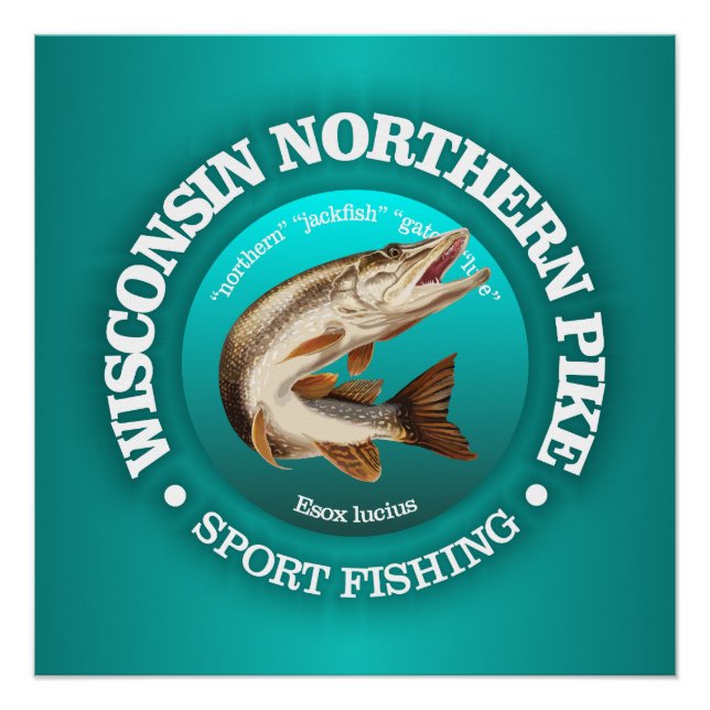 Wisconsin Pike Fishing Poster (Vorderseite)
