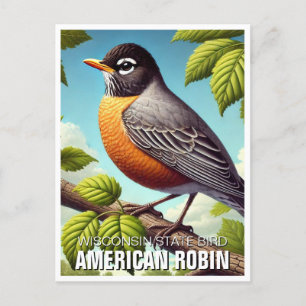 Wisconsin Staat Bird American Robin Postkarte