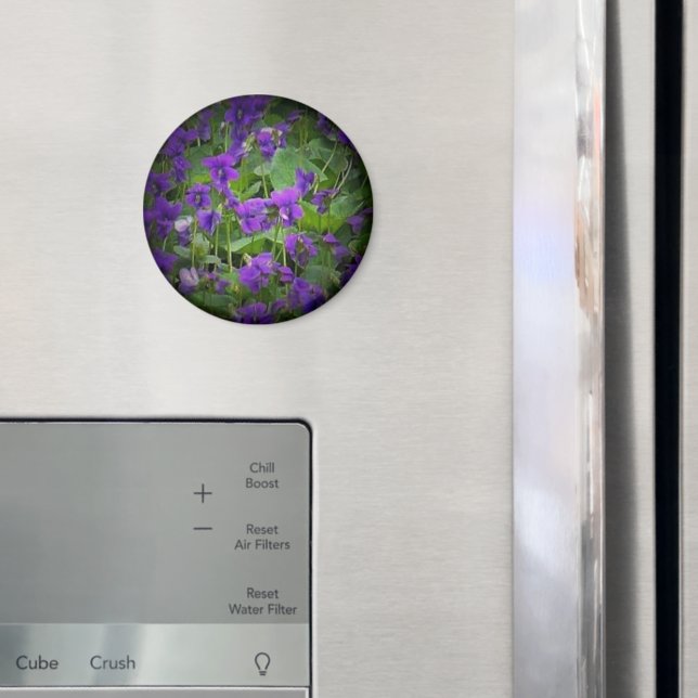 Wisconsin Staat Blume: Holzviolett-Spotlight Magnet (In Situ (Kühlschrank))