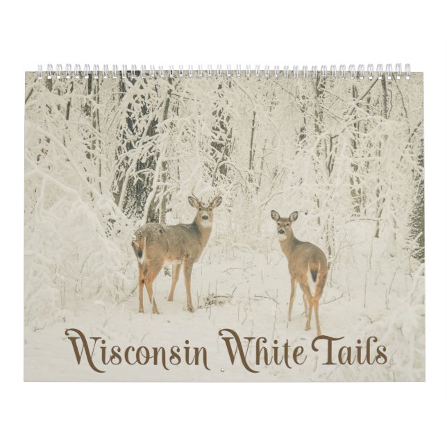 Wisconsin-Weiß-Schwänze Kalender (Titelbild)