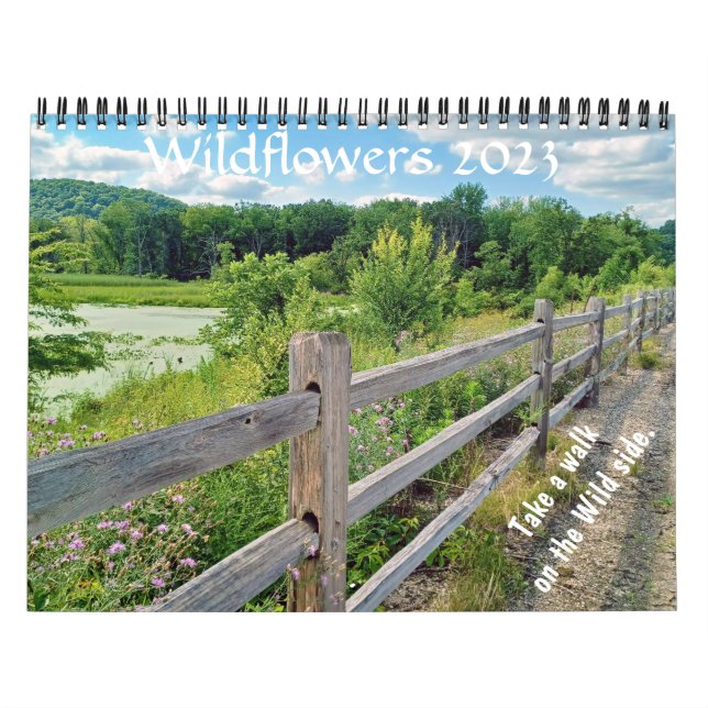 Wisconsin Wildblumen 2023 Kalender (Titelbild)
