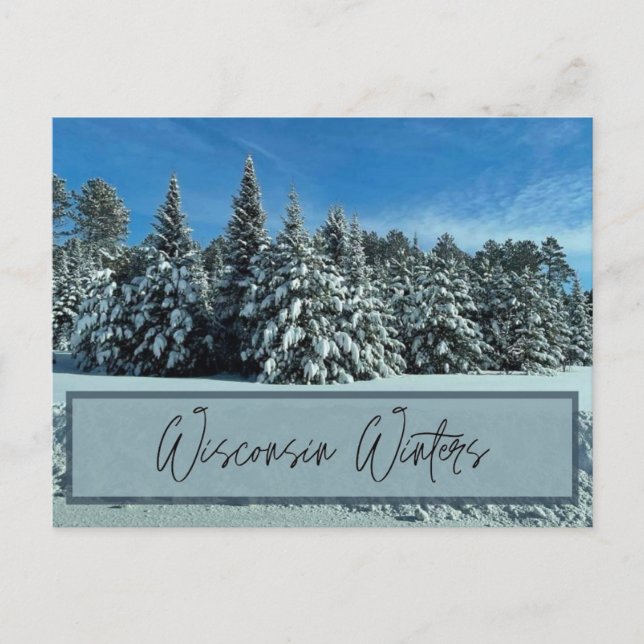 Wisconsin Winters Postkarte (Vorderseite)