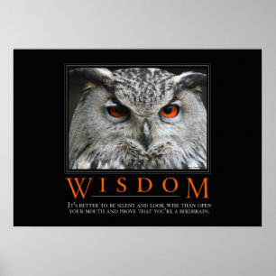 Wisdom Motivierend Parody Poster